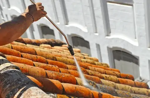 Nettoyage de toitures - Savigné-sur-Lathan